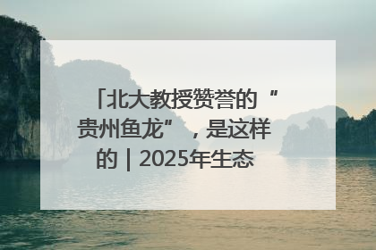 北大教授赞誉的“贵州鱼龙”，是这样的｜2025年生态文明贵阳国际论坛