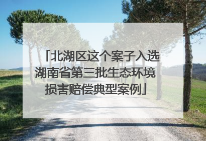 北湖区这个案子入选湖南省第三批生态环境损害赔偿典型案例