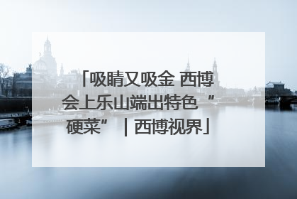 吸睛又吸金 西博会上乐山端出特色“硬菜”｜西博视界