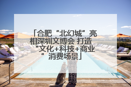 合肥“北幻城”亮相深圳文博会 打造“文化+科技+商业”消费场景