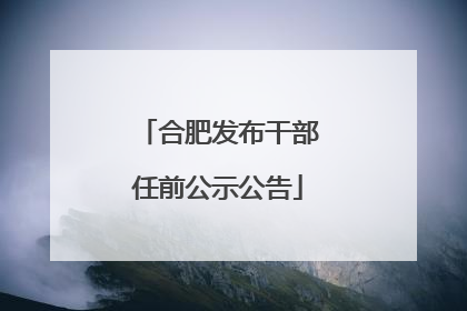 合肥发布干部任前公示公告