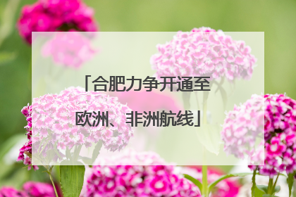 合肥力争开通至欧洲、非洲航线