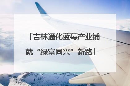 吉林通化蓝莓产业铺就“绿富同兴”新路