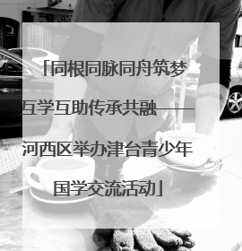 同根同脉同舟筑梦 互学互助传承共融——河西区举办津台青少年国学交流活动