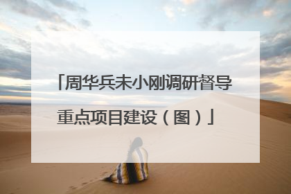 周华兵未小刚调研督导重点项目建设（图）