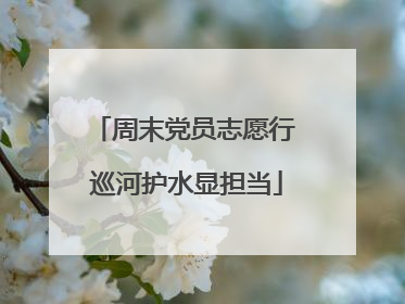 周末党员志愿行 巡河护水显担当