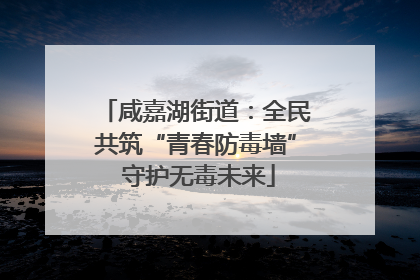 咸嘉湖街道：全民共筑“青春防毒墙” 守护无毒未来