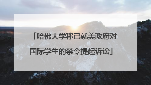 哈佛大学称已就美政府对国际学生的禁令提起诉讼
