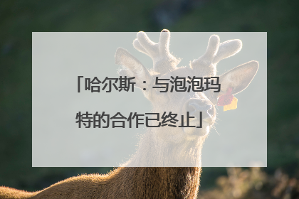 哈尔斯：与泡泡玛特的合作已终止