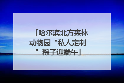 哈尔滨北方森林动物园“私人定制”粽子迎端午