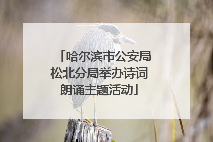 哈尔滨市公安局松北分局举办诗词朗诵主题活动