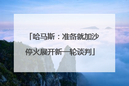 哈马斯：准备就加沙停火展开新一轮谈判