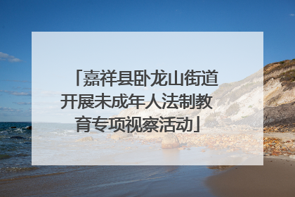 嘉祥县卧龙山街道开展未成年人法制教育专项视察活动