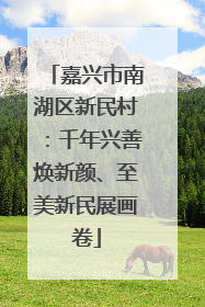 嘉兴市南湖区新民村：千年兴善焕新颜、至美新民展画卷