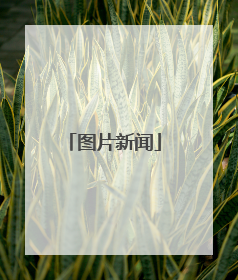 图片新闻