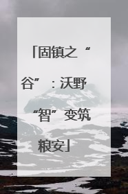 固镇之“谷”：沃野“智”变筑粮安