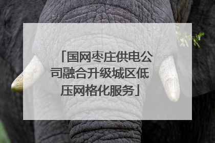 国网枣庄供电公司融合升级城区低压网格化服务