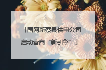 国网新蔡县供电公司启动营商“新引擎”