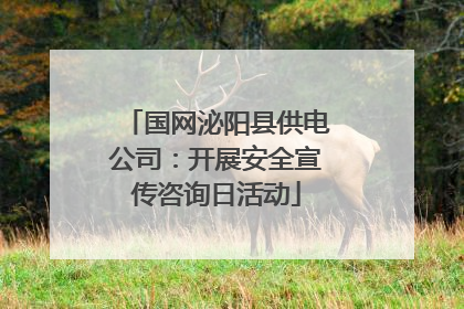国网泌阳县供电公司：开展安全宣传咨询日活动