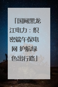 国网黑龙江电力：织密端午保电网 护航绿色出行路