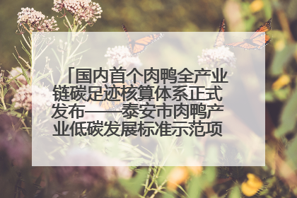 国内首个肉鸭全产业链碳足迹核算体系正式发布——泰安市肉鸭产业低碳发展标准示范项目顺利通过验收