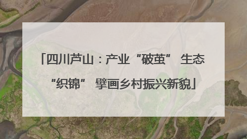 四川芦山：产业“破茧” 生态“织锦” 擘画乡村振兴新貌