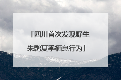 四川首次发现野生朱鹮夏季栖息行为