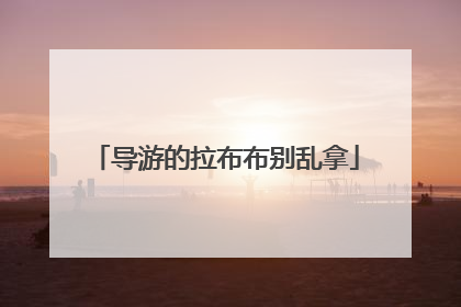 导游的拉布布别乱拿