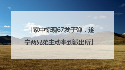 家中惊现67发子弹，遂宁两兄弟主动来到派出所
