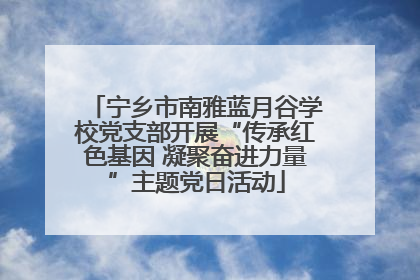 宁乡市南雅蓝月谷学校党支部开展“传承红色基因 凝聚奋进力量”主题党日活动