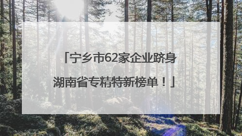 宁乡市62家企业跻身湖南省专精特新榜单！