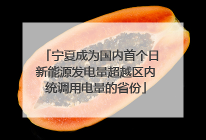 宁夏成为国内首个日新能源发电量超越区内统调用电量的省份
