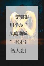 宁夏银川举办“凤鸣湖城”招才引智大会