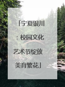 宁夏银川：校园文化艺术节绽放美育繁花