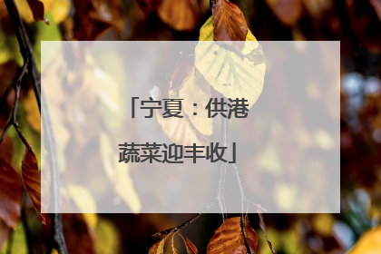 宁夏：供港蔬菜迎丰收