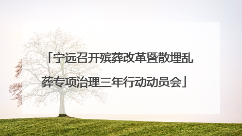 宁远召开殡葬改革暨散埋乱葬专项治理三年行动动员会