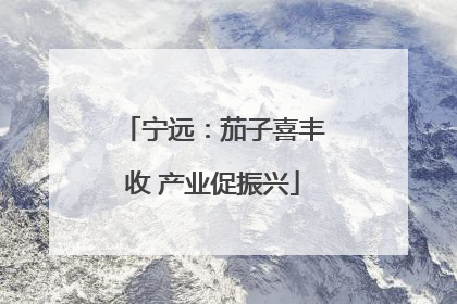 宁远：茄子喜丰收 产业促振兴