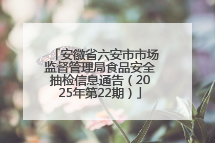 安徽省六安市市场监督管理局食品安全抽检信息通告（2025年第22期）