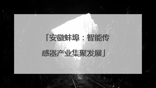 安徽蚌埠：智能传感器产业集聚发展