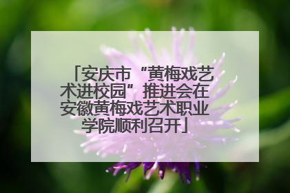 安庆市“黄梅戏艺术进校园”推进会在安徽黄梅戏艺术职业学院顺利召开