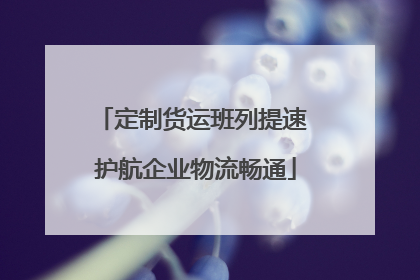 定制货运班列提速 护航企业物流畅通