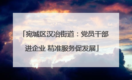 宛城区汉冶街道：党员干部进企业 精准服务促发展
