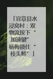 宜章县水浸窝村：双物流按下“加速键” 杨梅锁住“枝头鲜”