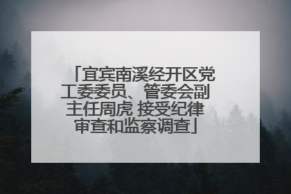 宜宾南溪经开区党工委委员、管委会副主任周虎 接受纪律审查和监察调查
