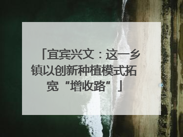 宜宾兴文：这一乡镇以创新种植模式拓宽“增收路”