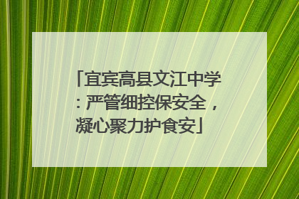 宜宾高县文江中学：严管细控保安全，凝心聚力护食安