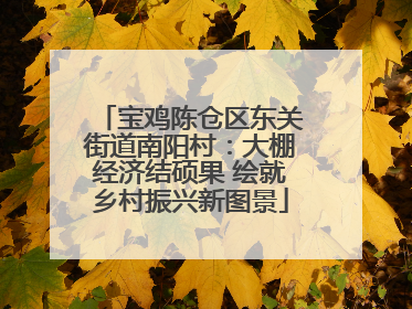 宝鸡陈仓区东关街道南阳村：大棚经济结硕果 绘就乡村振兴新图景