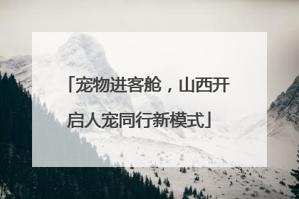 宠物进客舱，山西开启人宠同行新模式