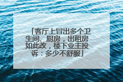 客厅上冒出多个卫生间、厨房，出租房如此改，楼下业主投诉：多少不舒服