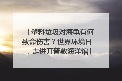 塑料垃圾对海龟有何致命伤害？世界环境日，走进开普敦海洋馆